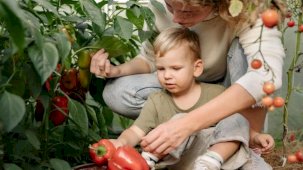 Sakarya’da çocuklar tarımın kaşifi olacak