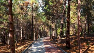 Sakaryalılar baharı ‘Huzur Koridoru’nda koşarak karşılayacak