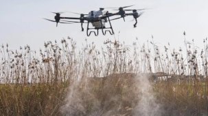 Sivrisinek ve zararlılara karşı İzmir modeli teknoloji sahada