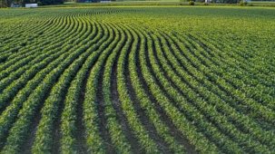 Tarım arazisinin etkin kullanımına destek