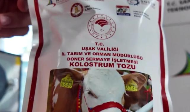 Uşak'ta kurutma kolostrum tesisi kuruldu