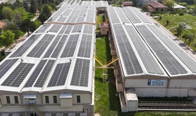 854 ton karbon salınımı önlenerek 34 bin ağaç korundu