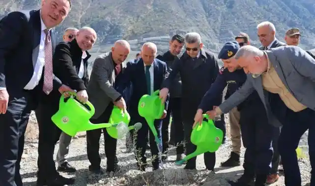 Artvin'de Butko zeytini üretimi yaygınlaşıyor