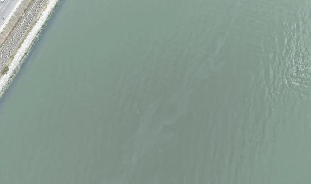 İzmir Körfezi’nde kirlilik endişelendiriyor! Aynı tehdit 11. kez görüldü