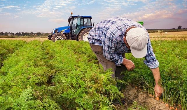 Kırsal kalkınma yatırımlarında 10 milyar TL'lik destek başladı