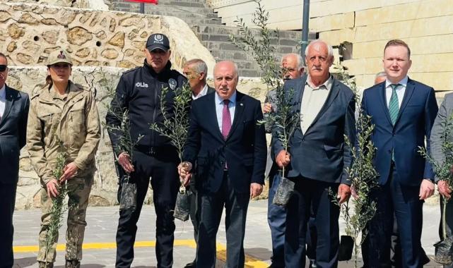 Mardin Yeşilli'de tarihi rekor! 102 bin meyveli fidan dağıtıldı