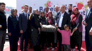 Adana Büyükşehir’den Pozantı’ya 900 bin çilek fidesi desteği