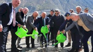 Artvin'de Butko zeytini üretimi yaygınlaşıyor