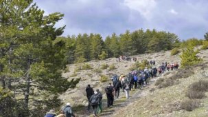 Başkentliler Şahinler Tabiat Parkı’nda doğayla buluştu