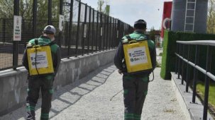 Başkent’te haşereyle etkin mücadele