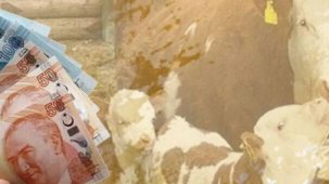 Çiftçiye 350,9 milyon TL destek ödemesi hesaplarda