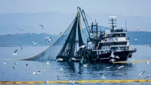 Denizlerde av yasağı 15 Nisan’da başlıyor