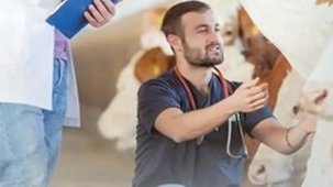 Denizli Büyükşehir’den üreticiye sahada destek