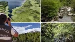 Doğa Koruma ve Milli Parklar Uzmanlığı için 'tez' zorunluluğu