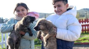 Doğa ve patili dostlar İzmir'de şifa dağıtıyor