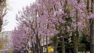 İstanbul Beylikdüzü'nde bakım ve yaz hazırlığı bir arada