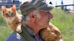 İstanbul Maltepe’de “can dostlar” güvende