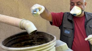 İstanbul Maltepe’de sivrisinek mücadelesi erken başladı