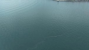 İzmir Körfezi’nde dış kaynaklı kirliliğin önüne geçilemiyor