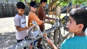 İzmir'de Doğal Yaşam Parkı öğrencilere ücretsiz olacak