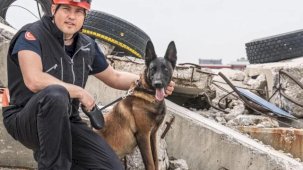 İzmir'de Momo enkaz için eğitiliyor