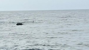 Karadeniz’deki şüpheli mayın SAS timlerince imha edildi!