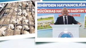 Kayseri Büyükşehir'den kırsala yeni model