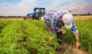 Kırsal kalkınma yatırımlarında 10 milyar TL'lik destek başladı