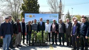 Konya’da çiftçiye yüzde 50 hibe ile meyve fidanı desteği