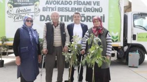 Mersin'de Anamurlu üreticilerin yüzü gülüyor