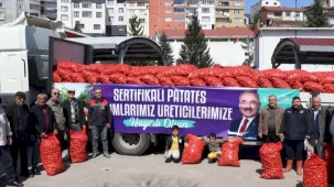 Ordu’da 6 ilçede 45 ton tohumluk patates dağıttı