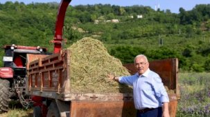 Ordu’da atıl arazi tarıma kazandırıldı