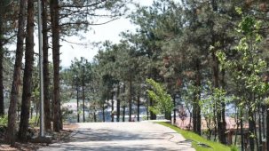 Pelitli Bayraktepe Mesire Alanı’nda çalışmalar tam gaz