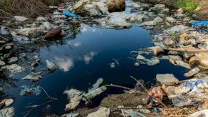 Prof. Dr. Ünüsan'dan mikroplastik uyarısı: Bitki bazlı çözümler umut veriyor ancak...