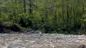 Rize'de vahşi depolamaya milyonluk ceza! Çevre'den suç duyurusu