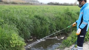 Sakarya ekipler zararlı vektörle mücadeleyi sürdürüyor