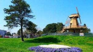 Sakarya’da baharın büyüleyici cümbüşü