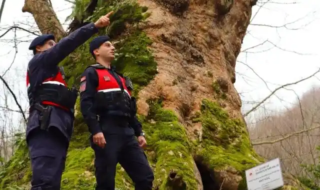 Yalova'da Jandarma turizm bölgelerinde güvenliği artırdı
