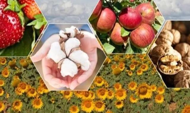 2026’da bitkisel üretimde büyük artış bekleniyor