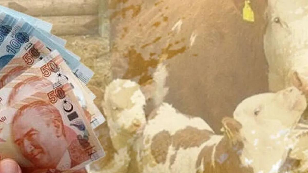 6,4 milyar TL’lik destek çiftçilerin hesaplarına aktarıldı