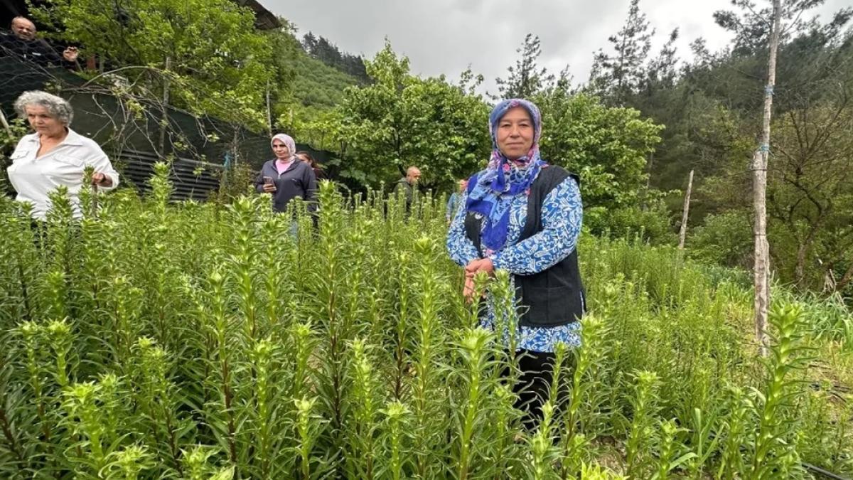 Adana'da 'Ak Zambak'la kadın üretimi ve istihdama katkı
