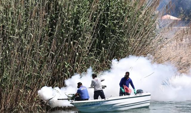 Antalya’da denizden karaya ilaçlama yapılıyor