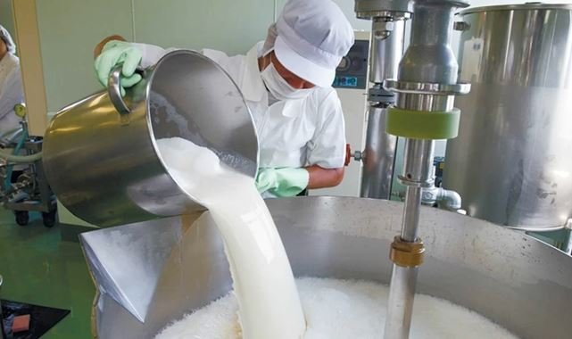 Çiğ süt üretimi 2025'te geriledi!