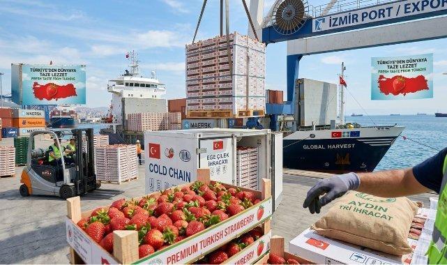 Çilek ihracatında katma değerli büyüme sürüyor
