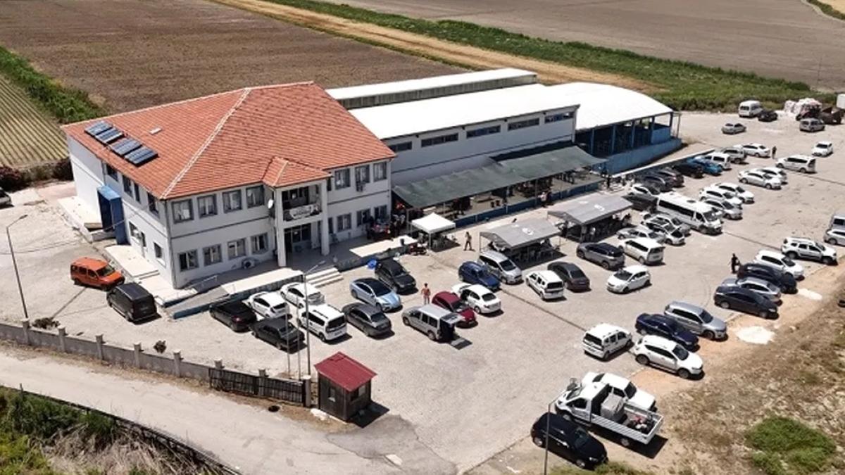 Hatay'da mezbahaneler tam gaz çalışıyor