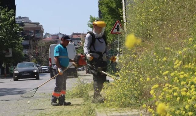 İstanbul Maltepe’de çevre düzenleme çalışmaları sürüyor