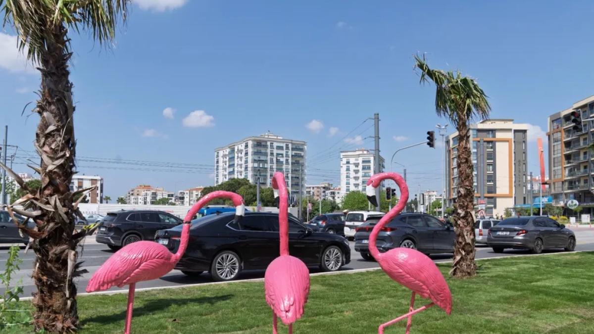 İzmir yaza çiçek açarak hazırlanıyor