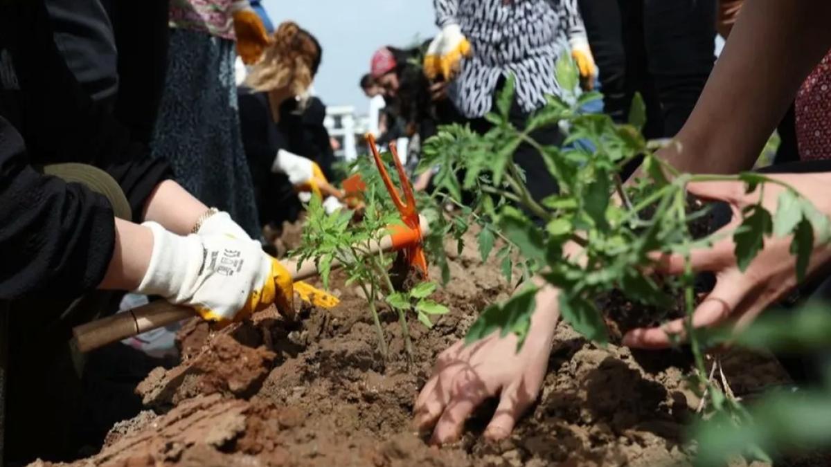 Kadın Kent Bostanı’nda fideler toprakla buluştu