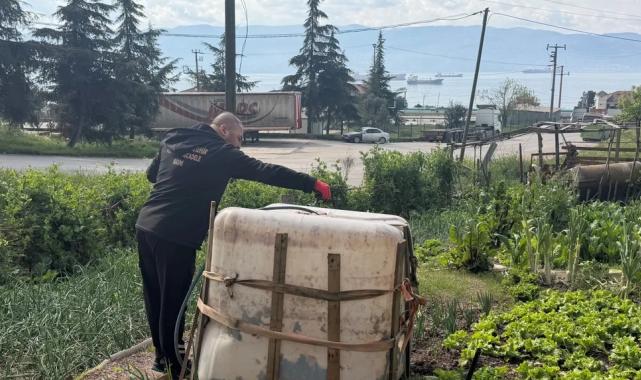 Kocaeli’de sivrisinek ve karasinekle yoğun mücadele