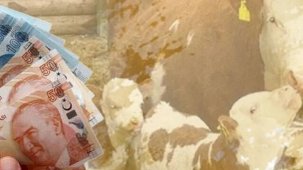 6,4 milyar TL’lik destek çiftçilerin hesaplarına aktarıldı